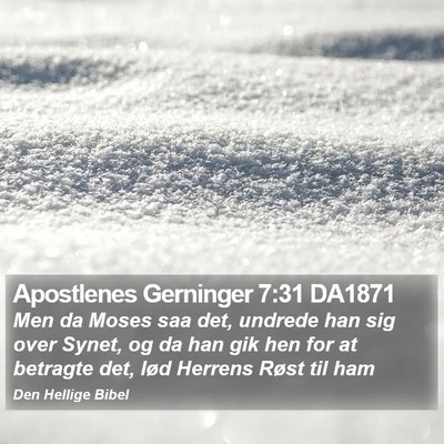 Apostlenes Gerninger 7:31 DA1871 Bible Verse Image
