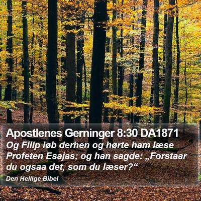 Apostlenes Gerninger 8:30 DA1871 Bible Verse Image