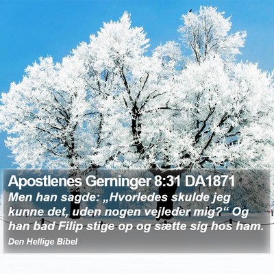 Apostlenes Gerninger 8:31 DA1871 Bible Verse Image