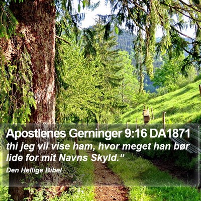 Apostlenes Gerninger 9:16 DA1871 Bible Verse Image