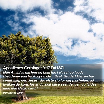 Apostlenes Gerninger 9:17 DA1871 Bible Verse Image