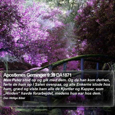 Apostlenes Gerninger 9:39 DA1871 Bible Verse Image