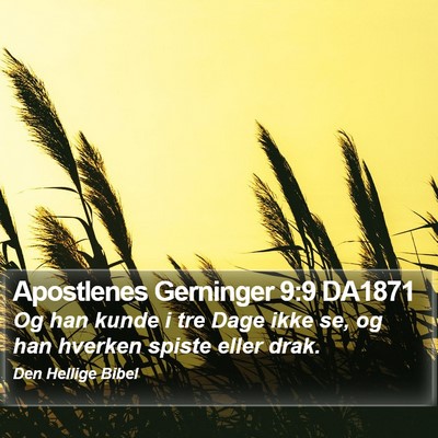 Apostlenes Gerninger 9:9 DA1871 Bible Verse Image