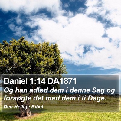 Daniel 1:14 DA1871 Bible Verse Image