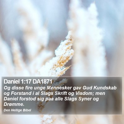 Daniel 1:17 DA1871 Bible Verse Image