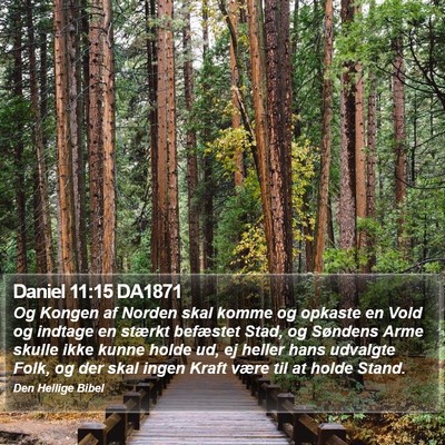 Daniel 11:15 DA1871 Bible Verse Image