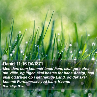 Daniel 11:16 DA1871 Bible Verse Image
