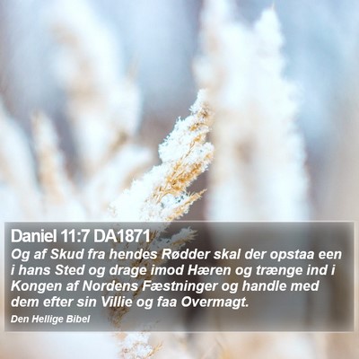 Daniel 11:7 DA1871 Bible Verse Image