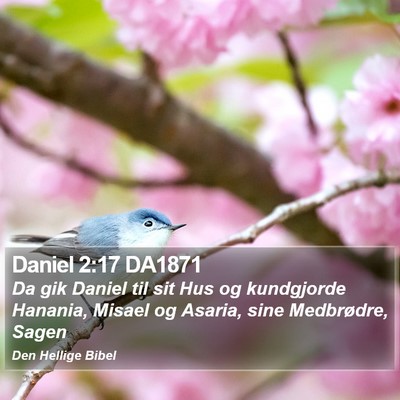 Daniel 2:17 DA1871 Bible Verse Image