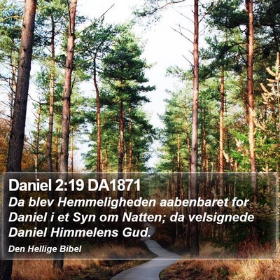Daniel 2:19 DA1871 Bible Verse Image