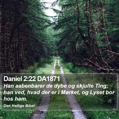 Daniel 2:22 DA1871 Bible Verse Image