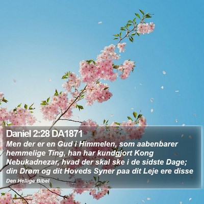 Daniel 2:28 DA1871 Bible Verse Image