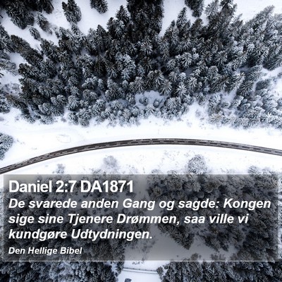 Daniel 2:7 DA1871 Bible Verse Image