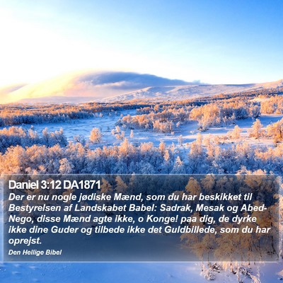 Daniel 3:12 DA1871 Bible Verse Image