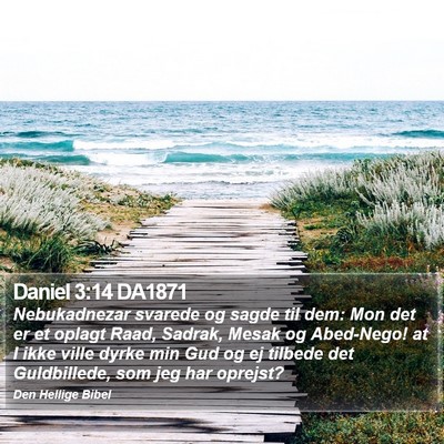 Daniel 3:14 DA1871 Bible Verse Image
