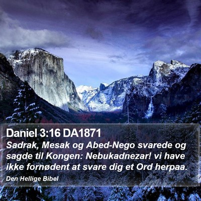 Daniel 3:16 DA1871 Bible Verse Image