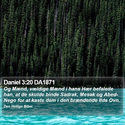 Daniel 3:20 DA1871 Bible Verse Image