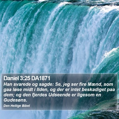 Daniel 3:25 DA1871 Bible Verse Image
