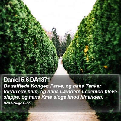 Daniel 5:6 DA1871 Bible Verse Image