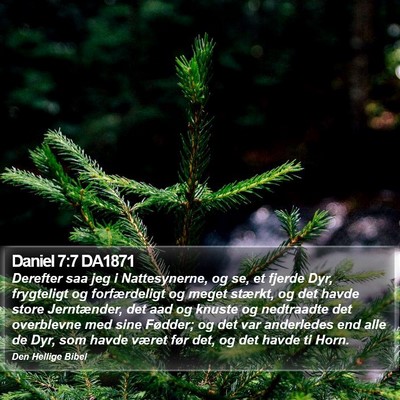 Daniel 7:7 DA1871 Bible Verse Image