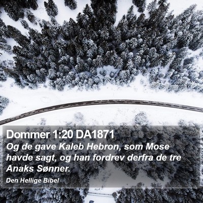Dommer 1:20 DA1871 Bible Verse Image