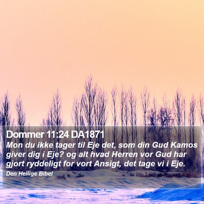 Dommer 11:24 DA1871 Bible Verse Image