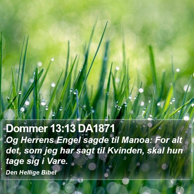 Dommer 13:13 DA1871 Bible Verse Image