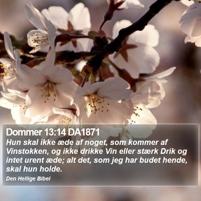 Dommer 13:14 DA1871 Bible Verse Image