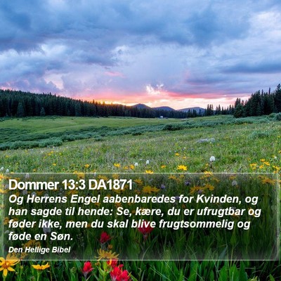 Dommer 13:3 DA1871 Bible Verse Image