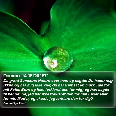 Dommer 14:16 DA1871 Bible Verse Image
