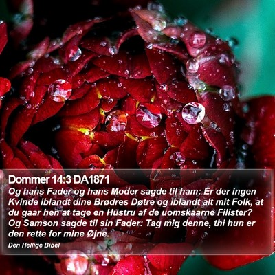 Dommer 14:3 DA1871 Bible Verse Image