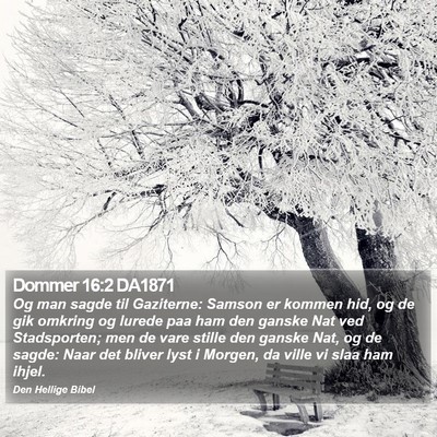Dommer 16:2 DA1871 Bible Verse Image