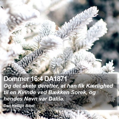 Dommer 16:4 DA1871 Bible Verse Image