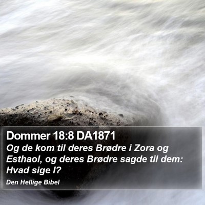 Dommer 18:8 DA1871 Bible Verse Image