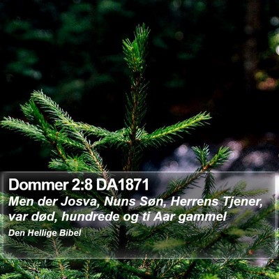 Dommer 2:8 DA1871 Bible Verse Image