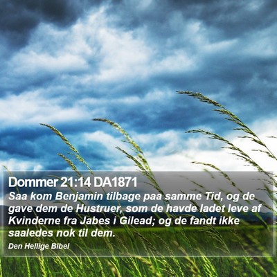 Dommer 21:14 DA1871 Bible Verse Image