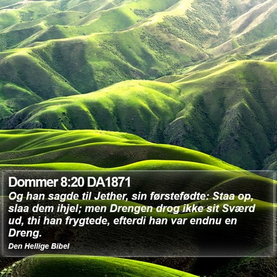Dommer 8:20 DA1871 Bible Verse Image