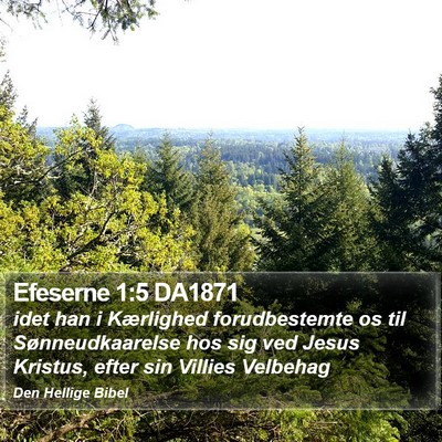 Efeserne 1:5 DA1871 Bible Verse Image