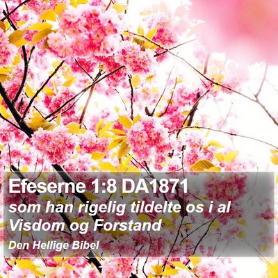Efeserne 1:8 DA1871 Bible Verse Image