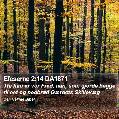 Efeserne 2:14 DA1871 Bible Verse Image