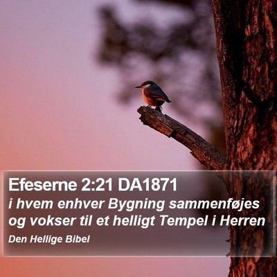 Efeserne 2:21 DA1871 Bible Verse Image