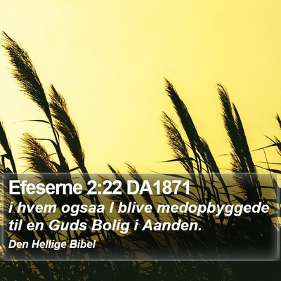 Efeserne 2:22 DA1871 Bible Verse Image