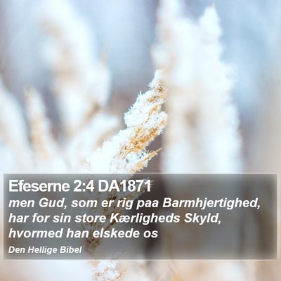 Efeserne 2:4 DA1871 Bible Verse Image