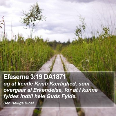Efeserne 3:19 DA1871 Bible Verse Image