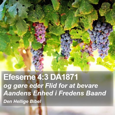 Efeserne 4:3 DA1871 Bible Verse Image