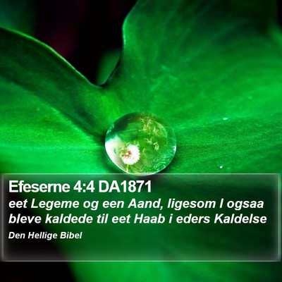 Efeserne 4:4 DA1871 Bible Verse Image