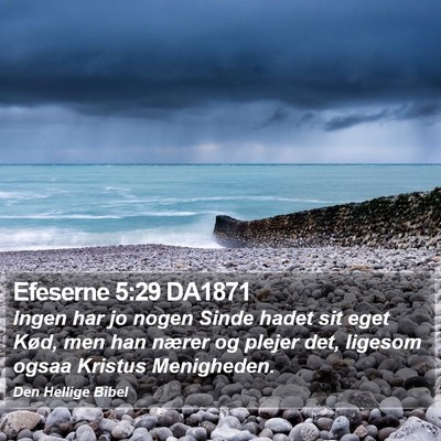 Efeserne 5:29 DA1871 Bible Verse Image