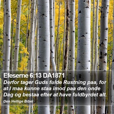 Efeserne 6:13 DA1871 Bible Verse Image