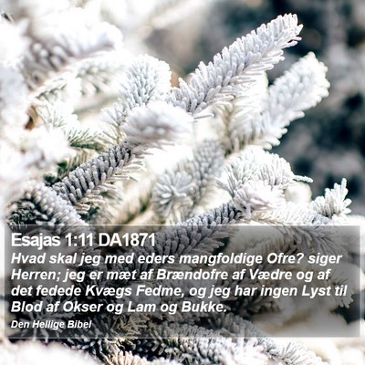 Esajas 1:11 DA1871 Bible Verse Image