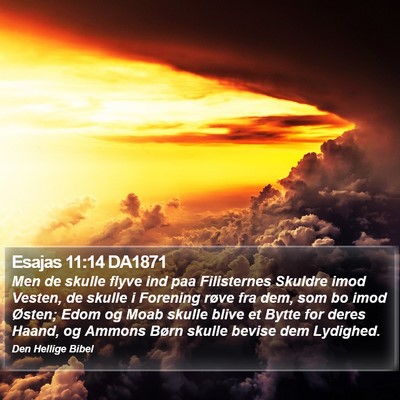 Esajas 11:14 DA1871 Bible Verse Image